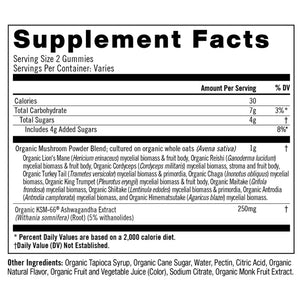 Master Blend Mushroom Gummies by Om Mushrooms