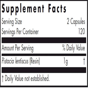 Mastic Gum by Nutricology
