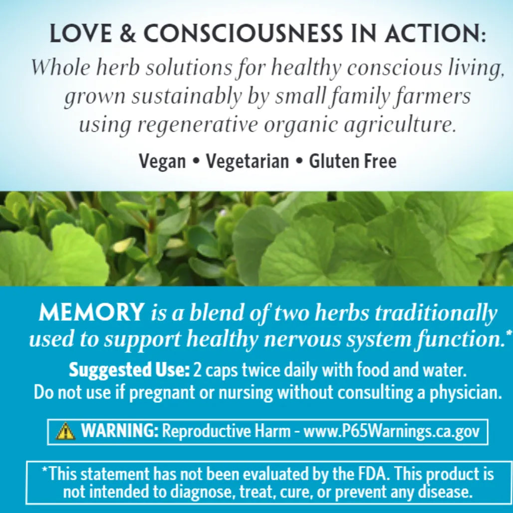 Memory Organic India