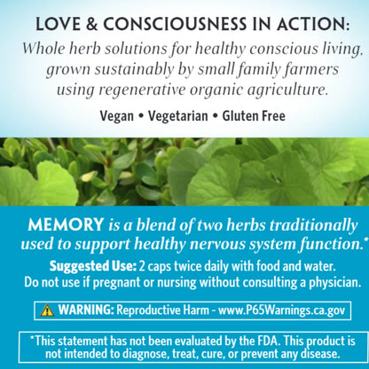 Memory Organic India