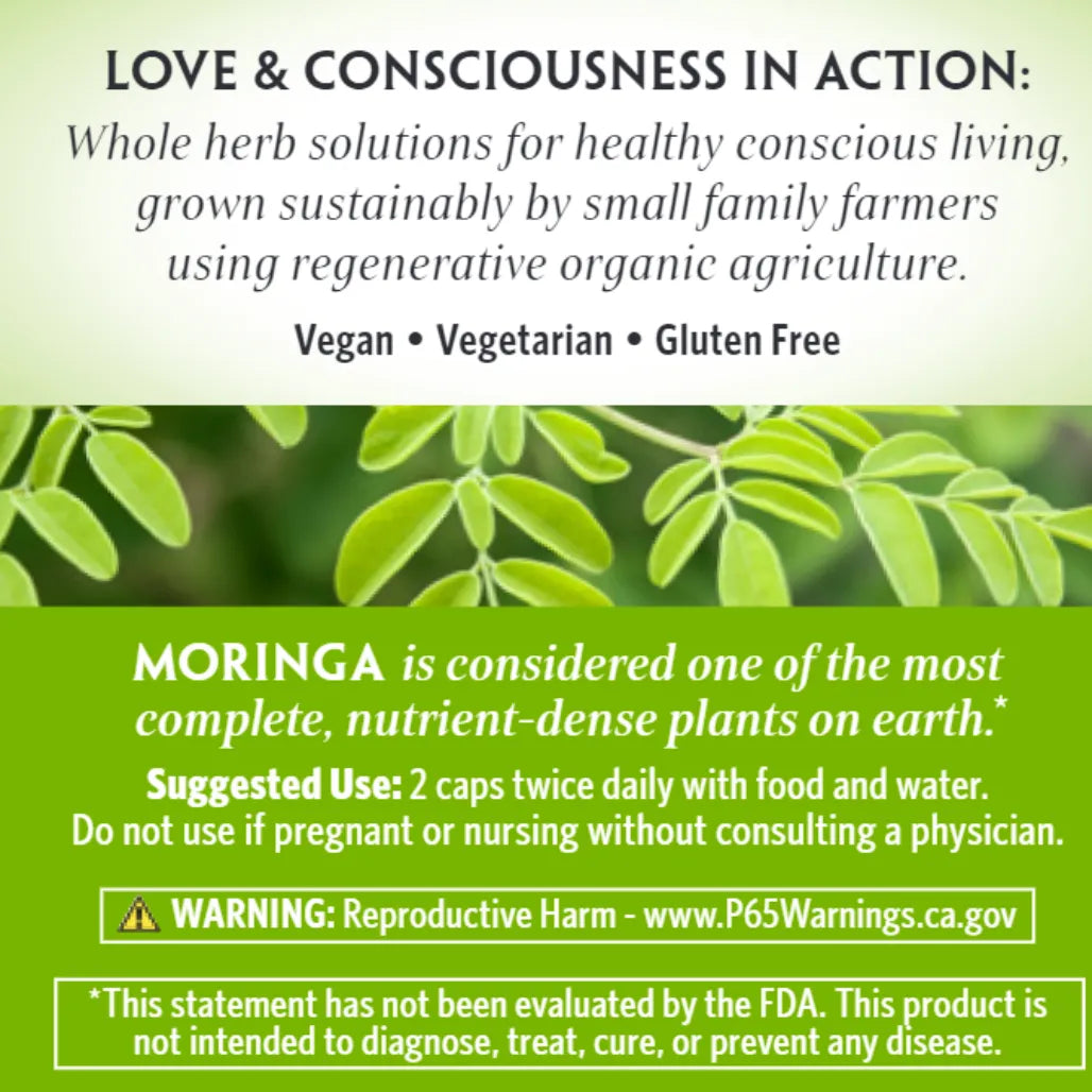 Moringa Organic India