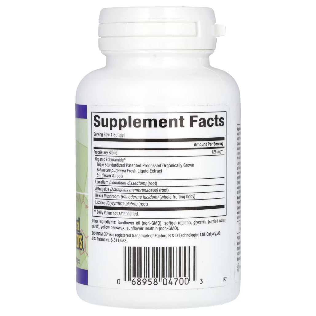 Natural factors Anti v formula with Echinamide - supports immune system health, cleans circulatory system