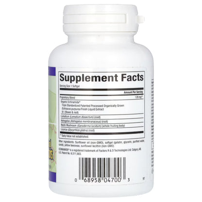 Natural factors Anti v formula with Echinamide - supports immune system health, cleans circulatory system