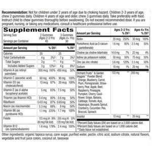 Alive Multi-Vit Gummies Natures way