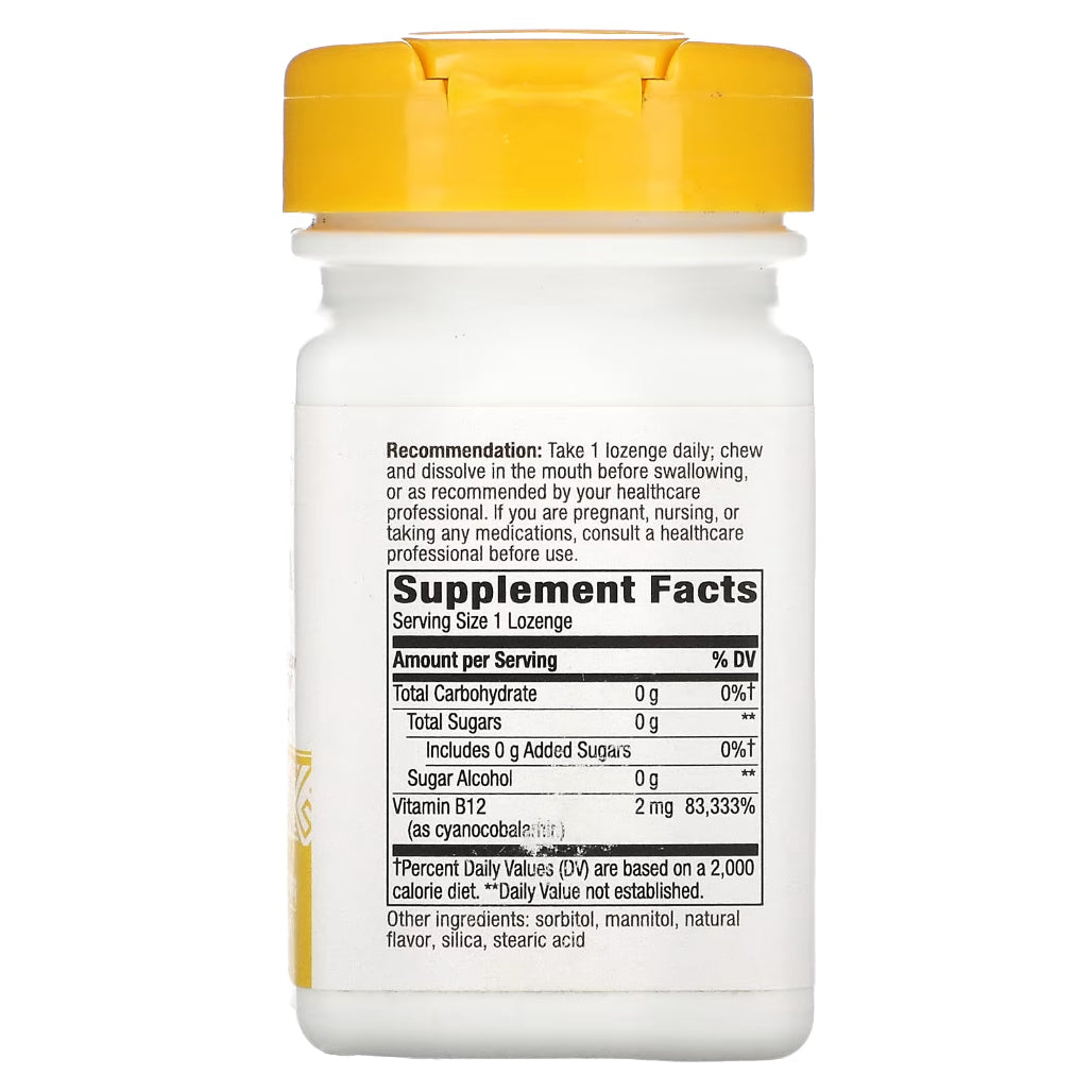 Nature's Way B-12 2000 mcg Supplement Ingredients - Vitamin B12