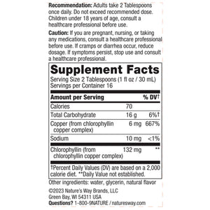 Chlorofresh Liquid Mint Natures way