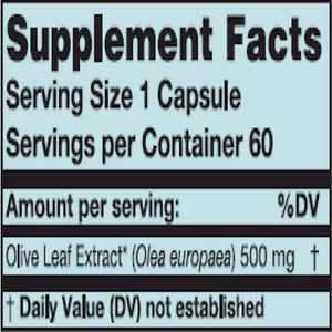 Olive Leaf 500 mg Karuna