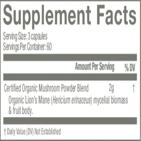 Lion's Mane Om Mushrooms