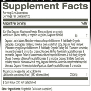 Mushroom Master Blend Om Mushrooms