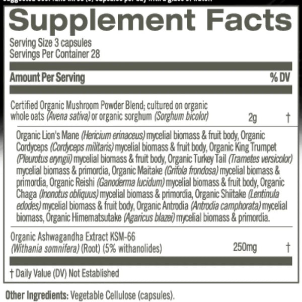 Mushroom Master Blend Om Mushrooms