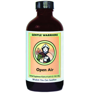 Open Air Gentle Warriors by Kan Gentle Warriors by Kan
