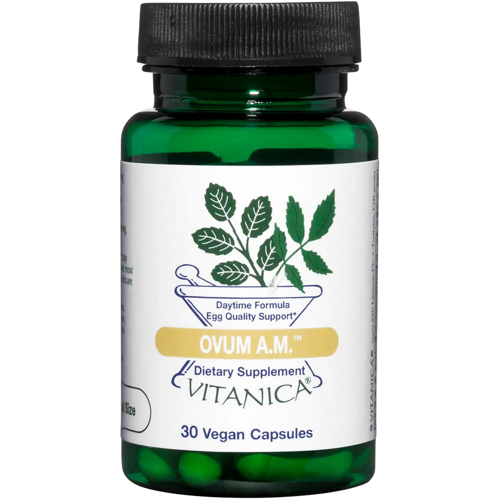 Ovum AM vitanica
