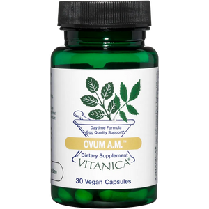 Ovum AM vitanica