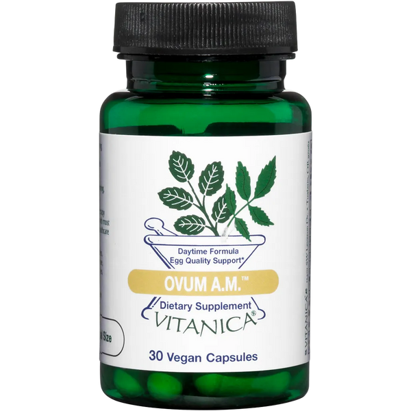 Ovum AM vitanica
