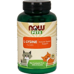 Pets L-Lysine Powder (Cats) NOW