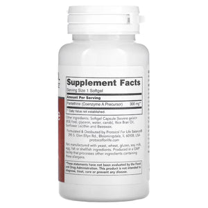 Pantethine 300 mg Protocol for life Balance