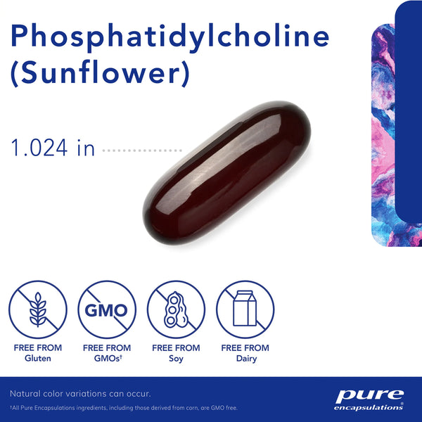 Phosphatidylcholine for brain and liver health