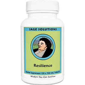 Resilience Sage Solutions by Kan