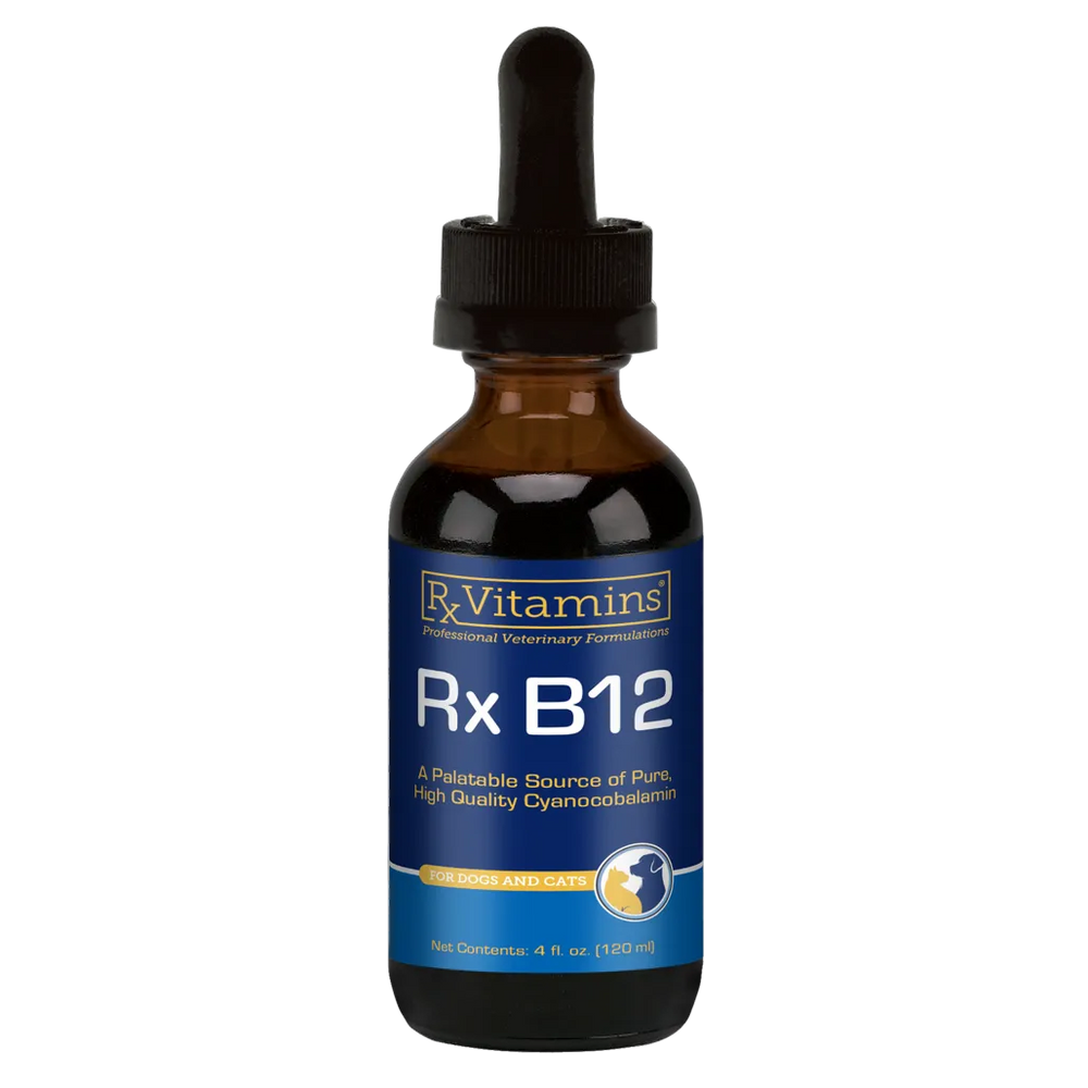 Rx-B-12-4-fl-oz-Rx-Vitamins-for-pets