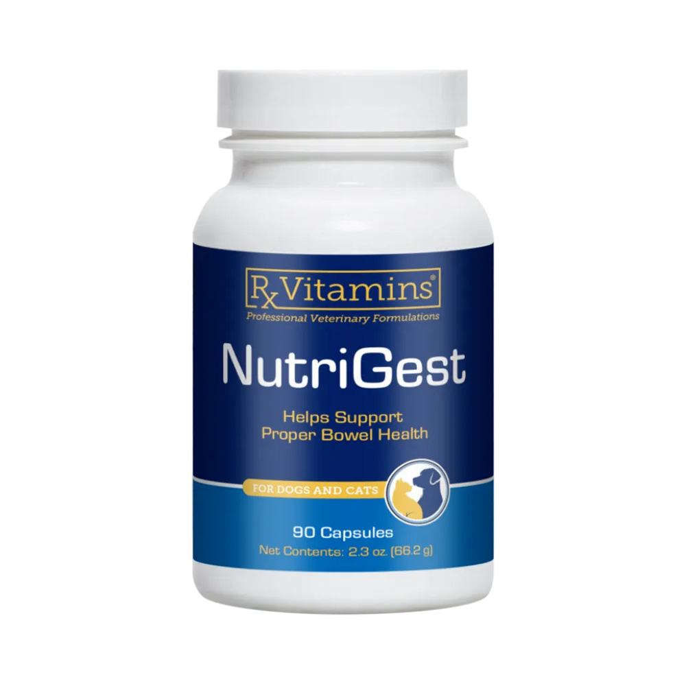Nutrigest for Dogs and Cats Rx Vitamins for Pets