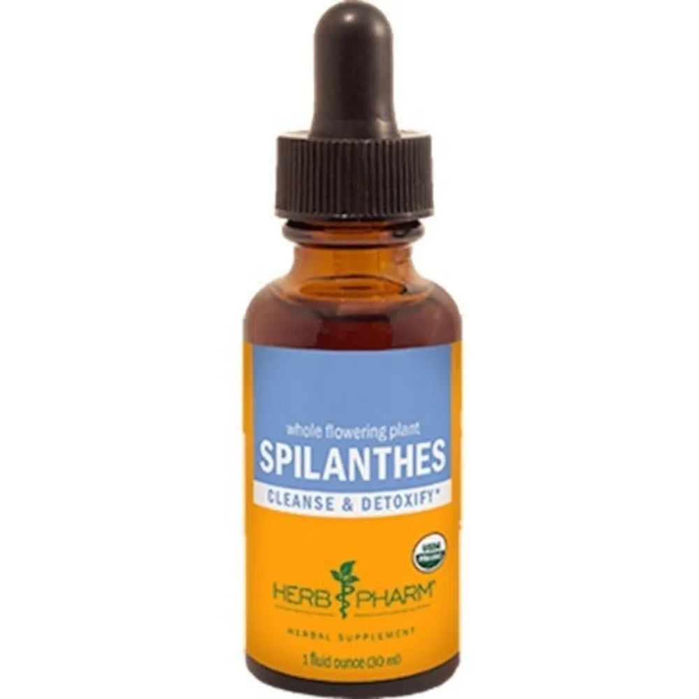 Spilanthes Herb Pharm