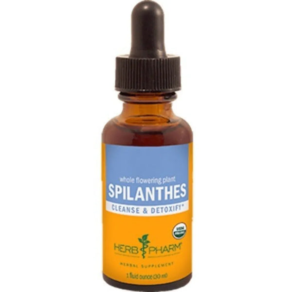 Spilanthes Herb Pharm