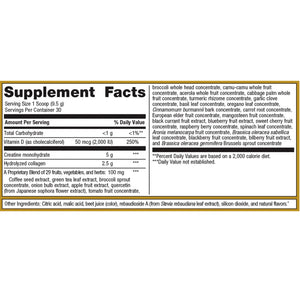 Stay Strong+™ Brain & Body Powder Collagen + Creatine, Watermelon Raspberry