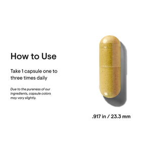 Thorne Stress B-Complex