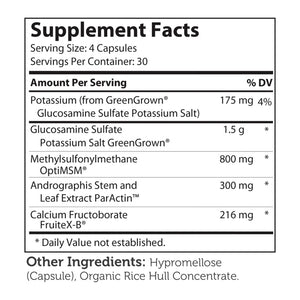 SynerG - Glucosamine by Advanced Nutrition by Zahler