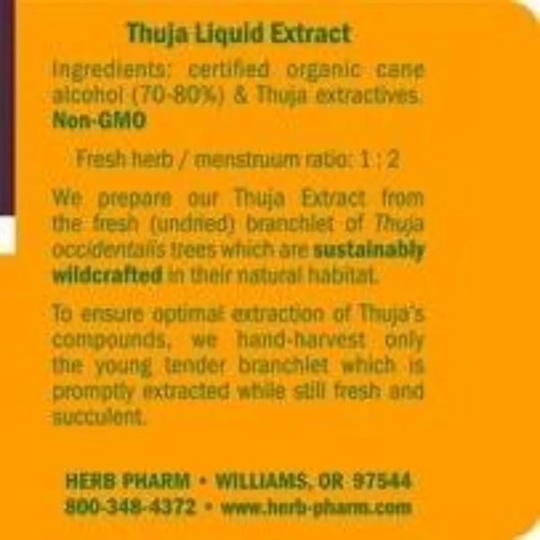 Thuja Herb Pharm ingredients