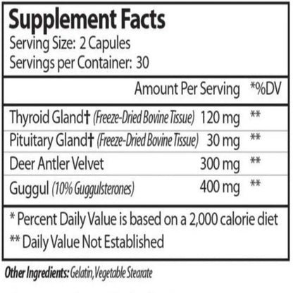 Thyroid Pituitary Plus Vinco