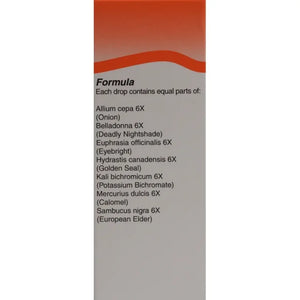 Allium Cepa Plex by Unda at Nutriessential.com