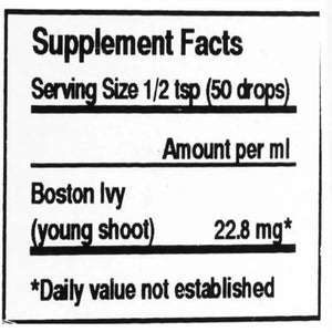 Ampelopsis Veitchii by Unda