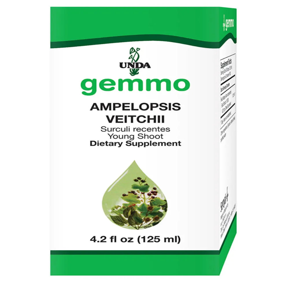 Ampelopsis Veitchii by Unda