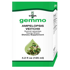 Ampelopsis Veitchii by Unda