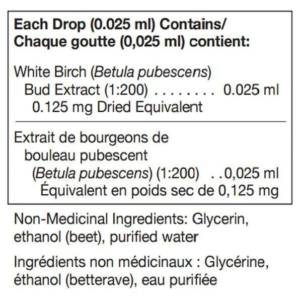 Betula Pubescens Birch Buds Unda