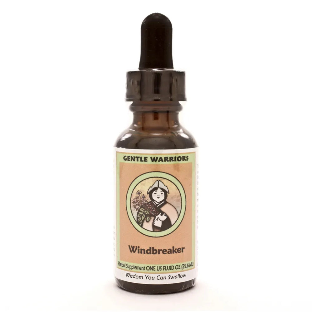 Windbreaker Gentle Warriors by Kan 