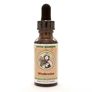 Windbreaker Gentle Warriors by Kan 