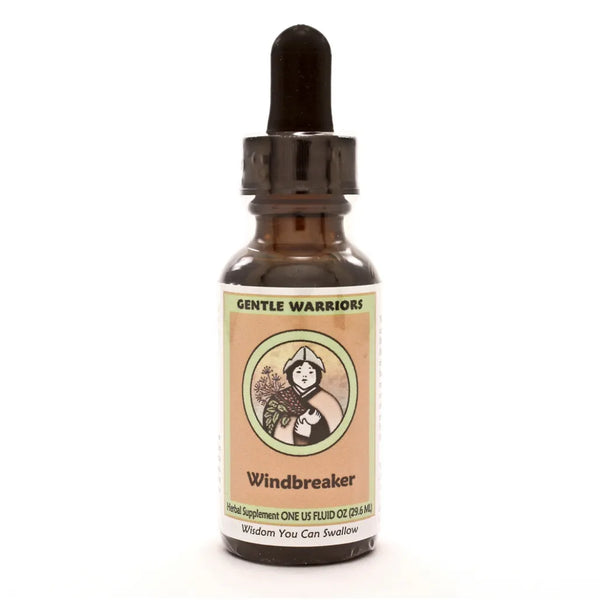 Windbreaker Gentle Warriors by Kan 