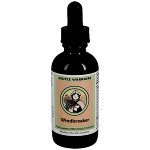 Windbreaker Gentle Warriors by Kan 