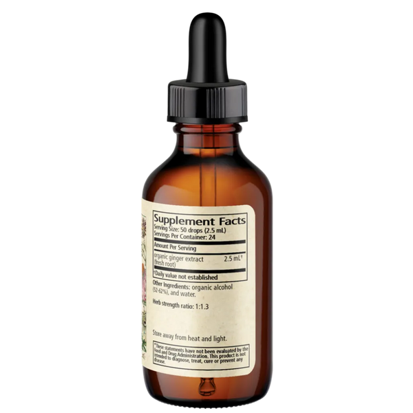 Zingiber officinale - ginger