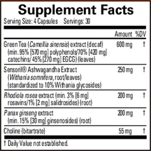  Brain MD - Focus and Energy - 120 Capsules | Supports Mental Sharpness and Productivity