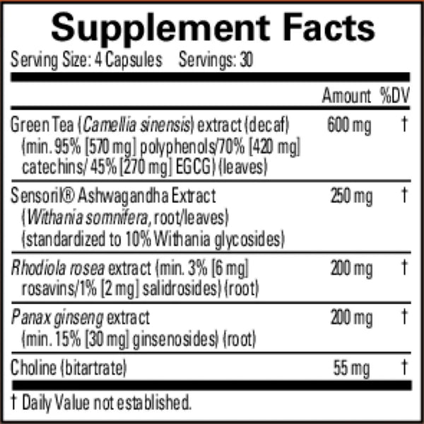  Brain MD - Focus and Energy - 120 Capsules | Supports Mental Sharpness and Productivity