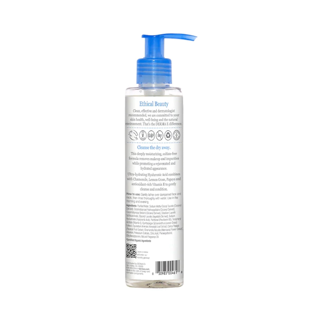 Hydrating Gentle Cleanser DermaE Natural Bodycare