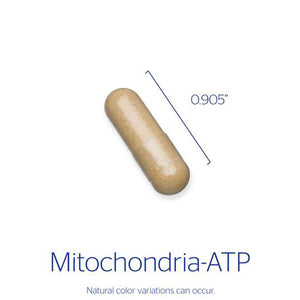 Mitochondria-ATP for energy