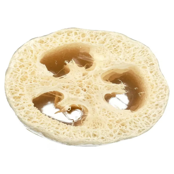 
Loofah Body Scrubber 7 inch Sponge - 1 unit