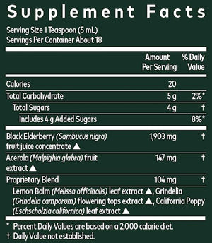 Black Elderberry Nighttime Syrup Gaia Herbs