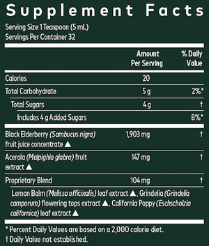 Black Elderberry Nighttime Syrup Gaia Herbs