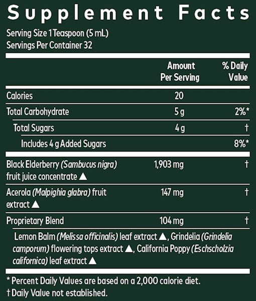 Black Elderberry Nighttime Syrup Gaia Herbs