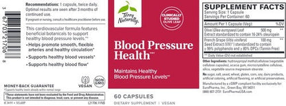 Blood Pressure Health Terry Naturally